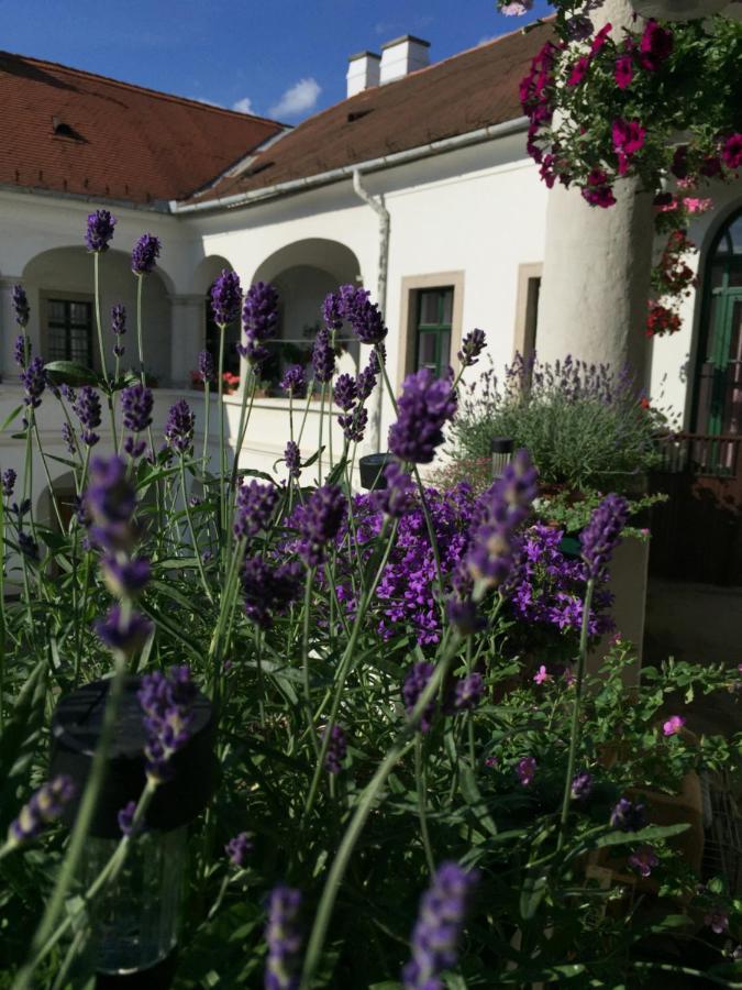 Forst-Haz Apartman Eger Exteriér fotografie