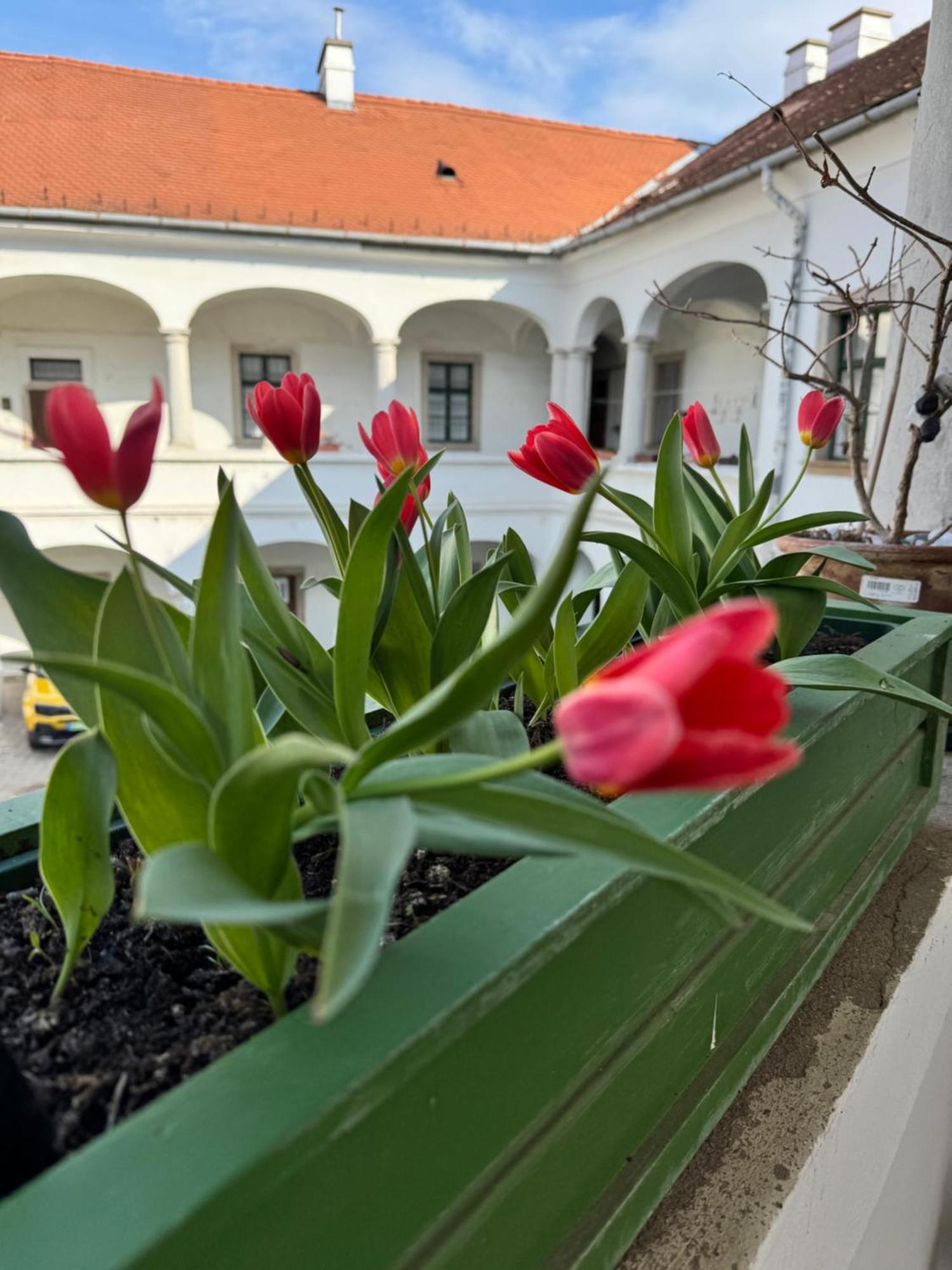 Forst-Haz Apartman Eger Exteriér fotografie
